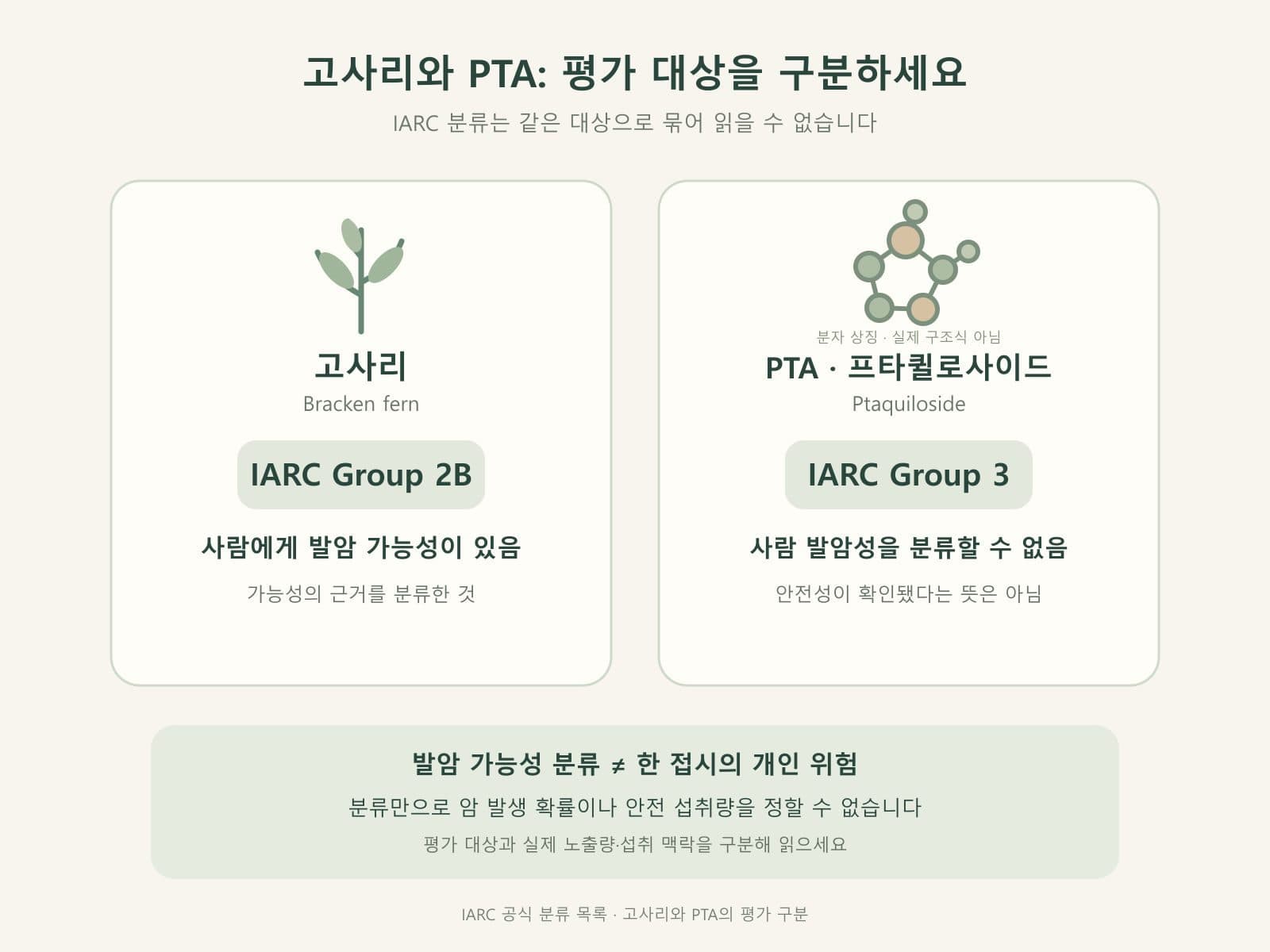 고사리 프타퀼로사이드 IARC Group 2B