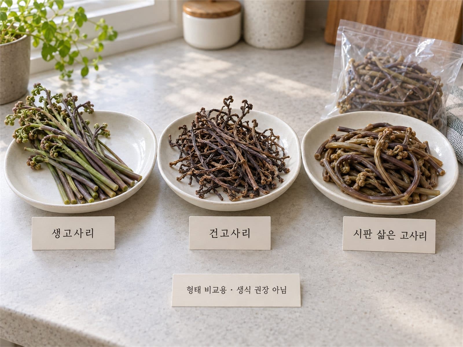 생고사리 건고사리 삶은고사리 비교