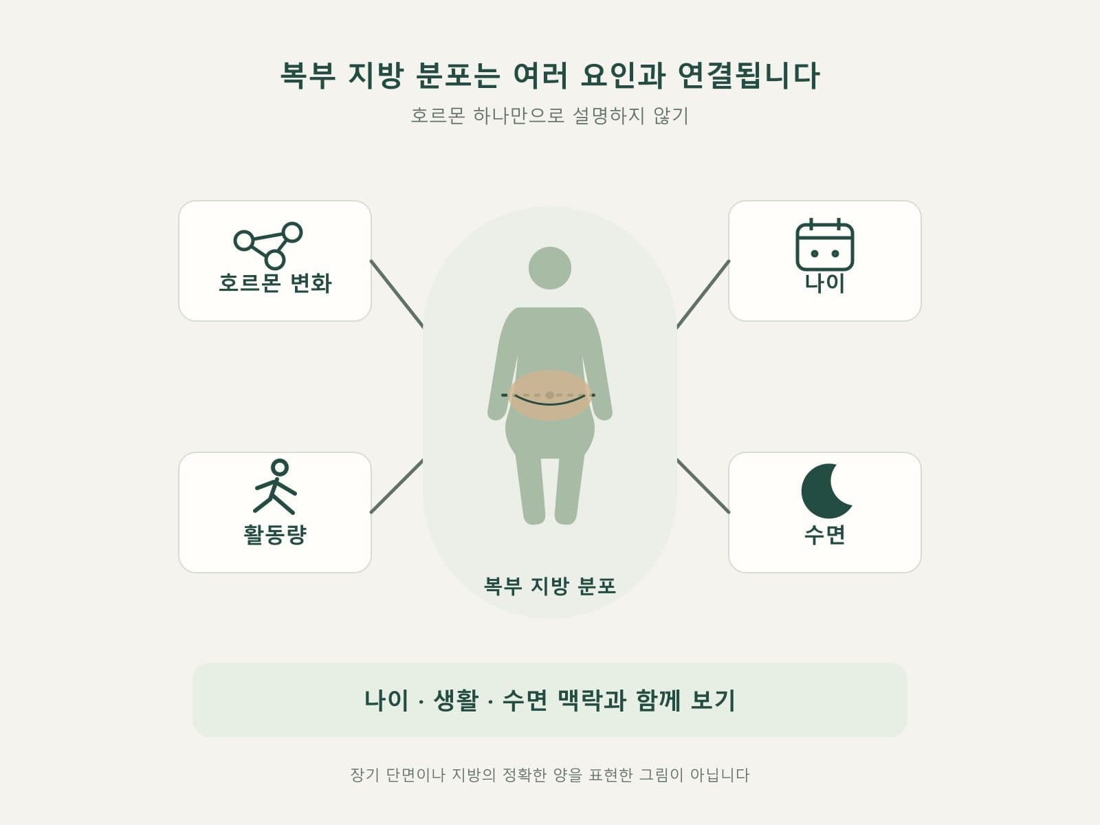호르몬·나이·활동량·수면 네 요인이 복부지방으로 연결되는 도식