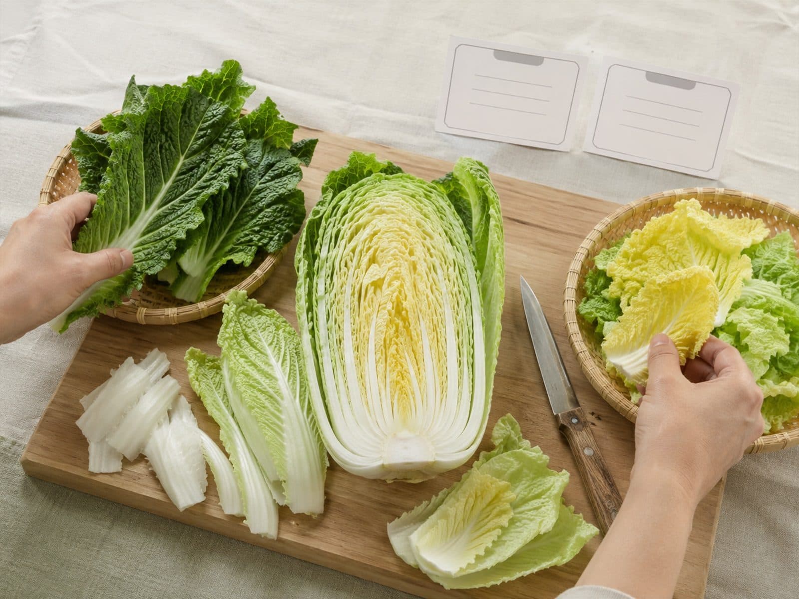 배추의 녹색 겉잎 노란 속잎과 흰 줄기를 나누어 비교한 모습