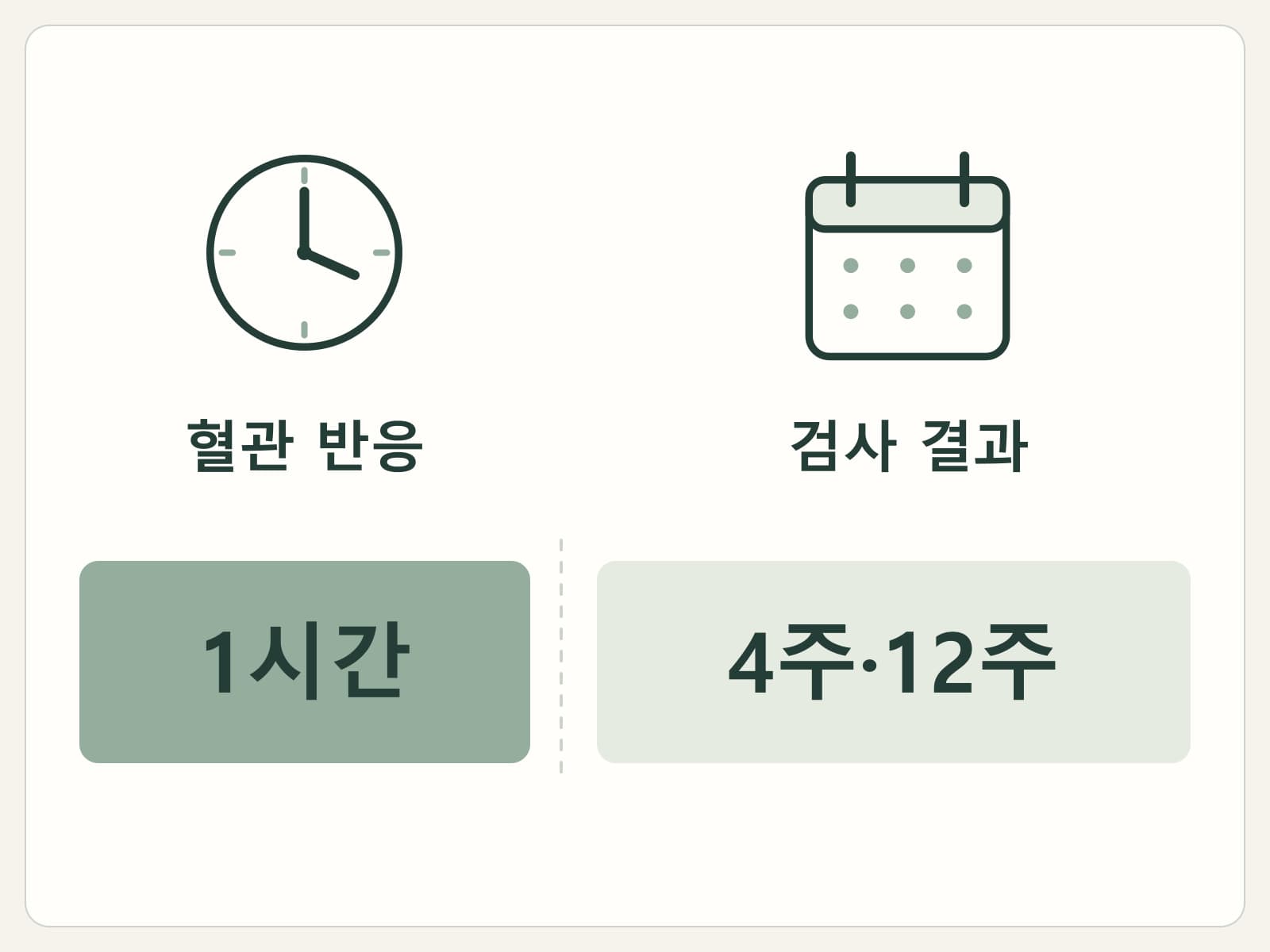 1시간 혈관 반응과 4주·12주 검사 결과를 서로 다른 시간축에 표시