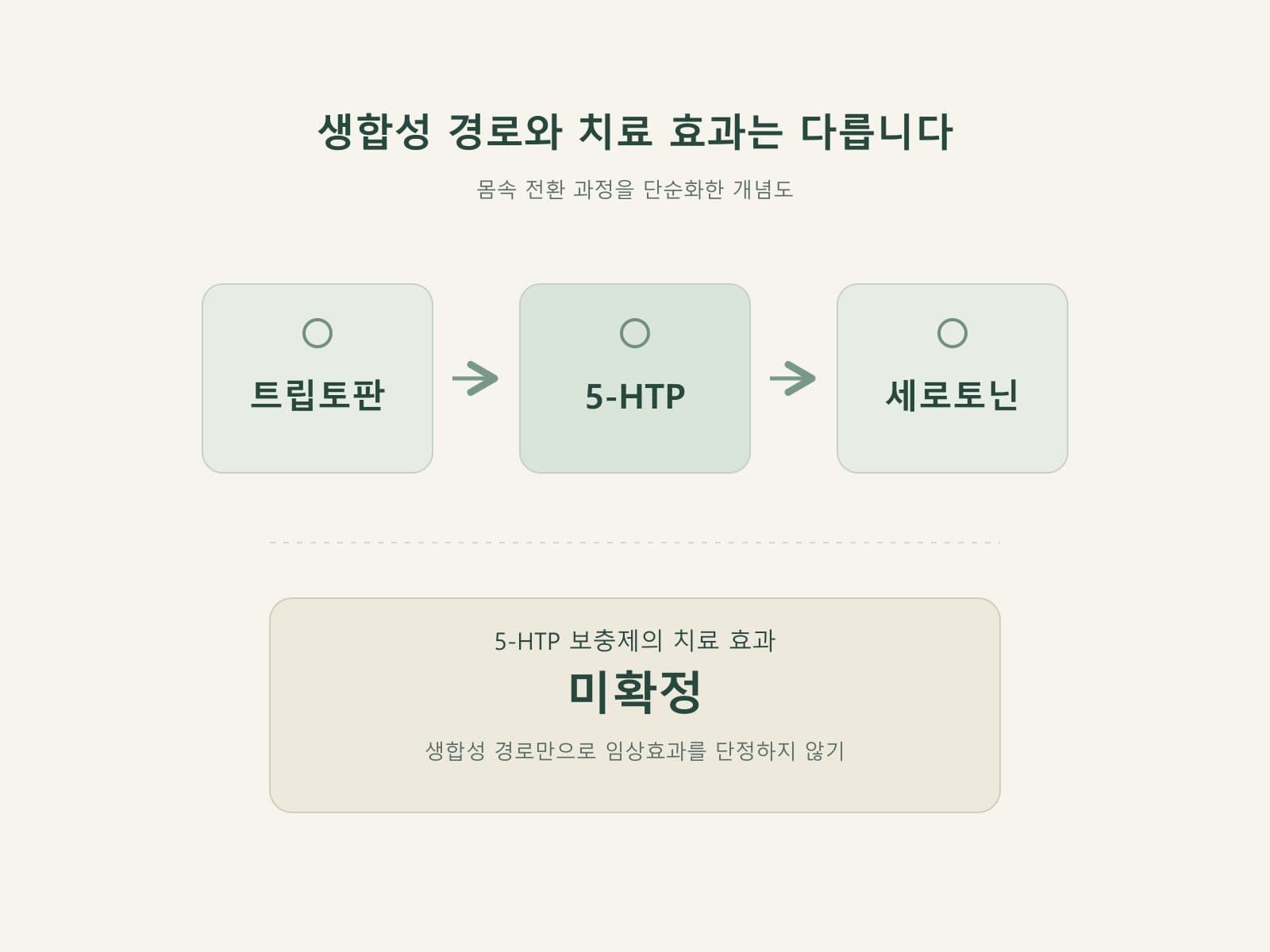 5HTP 세로토닌 전구체와 임상근거 차이