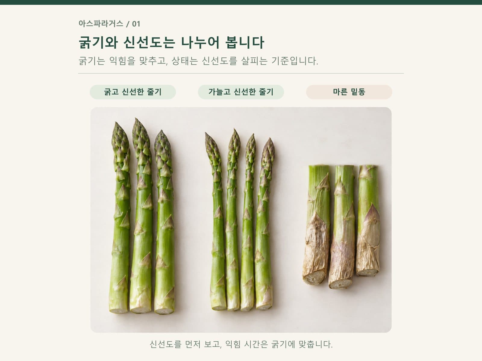 아스파라거스 굵기와 밑동 상태를 나누어 보여주는 비교