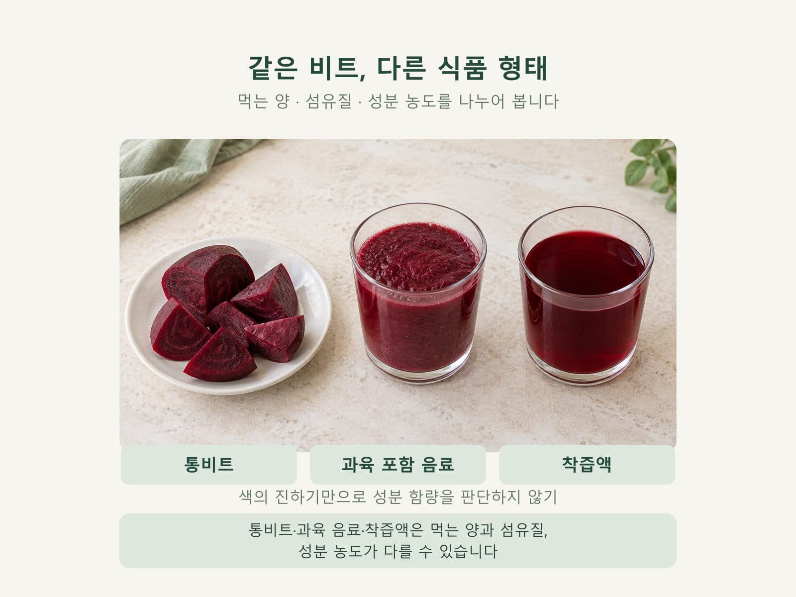 통비트 블렌딩 착즙액 형태 비교