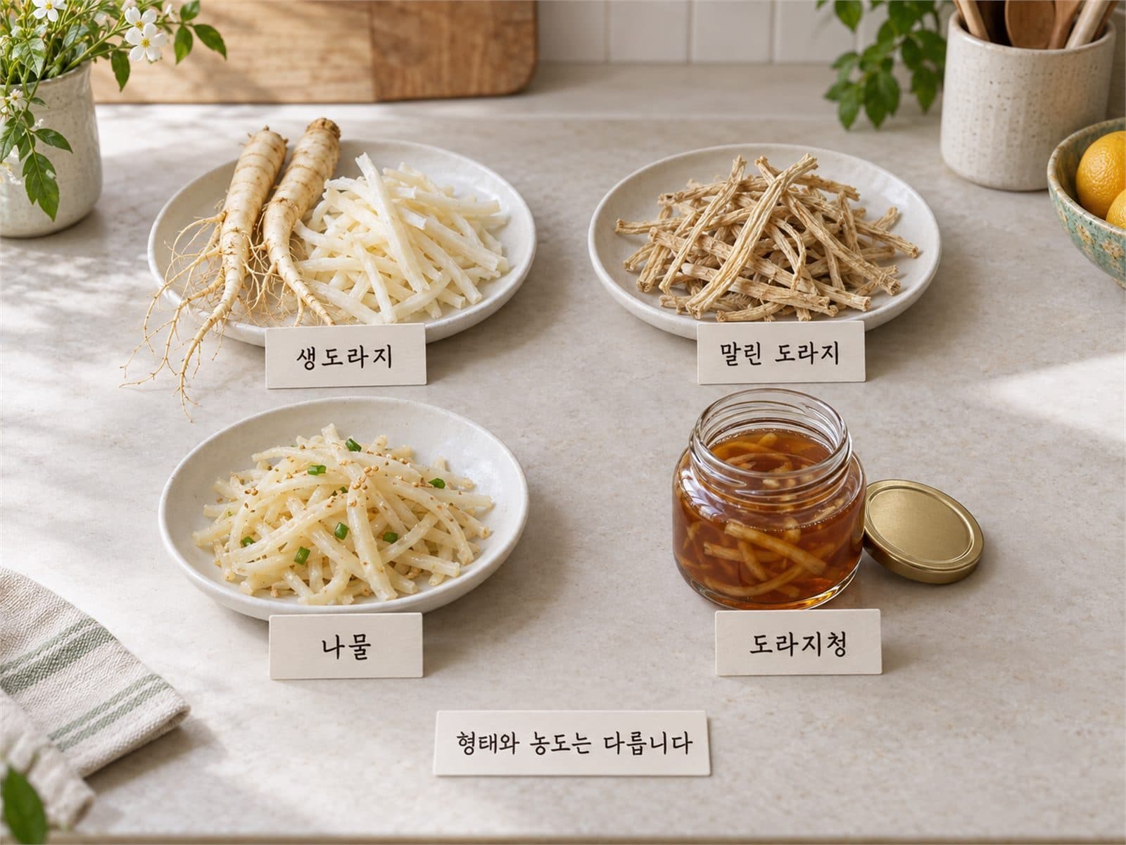 생도라지 말린도라지 도라지청 형태 비교