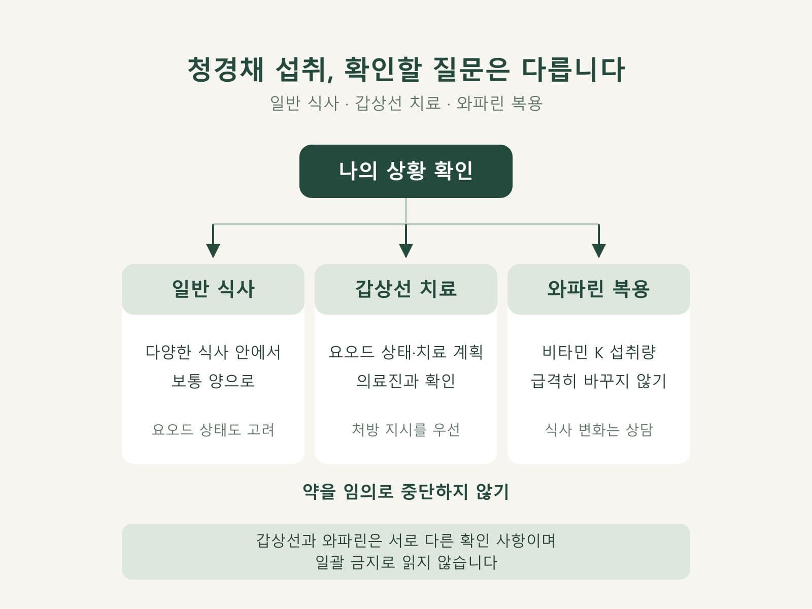 청경채 섭취에서 갑상선 상태와 와파린 주의를 구분한 도식