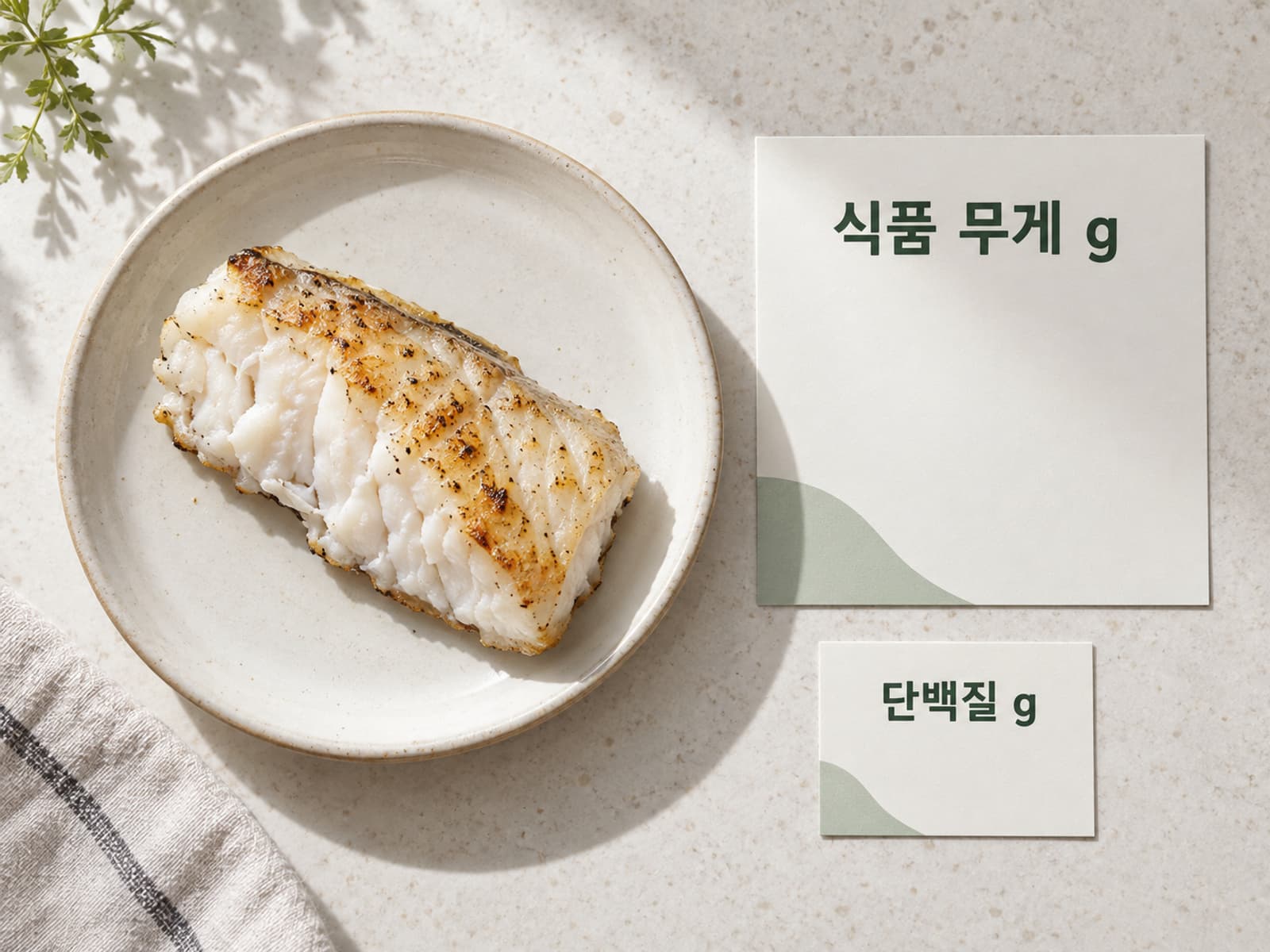 생선 한 조각과 식품 무게 g·단백질 g 칸을 구분한 카드
