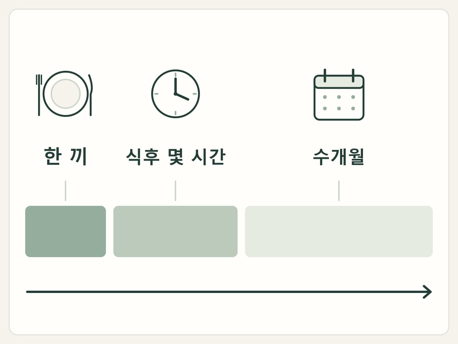 한 끼·식후 몇 시간·수개월을 표시한 서로 다른 길이의 시간축