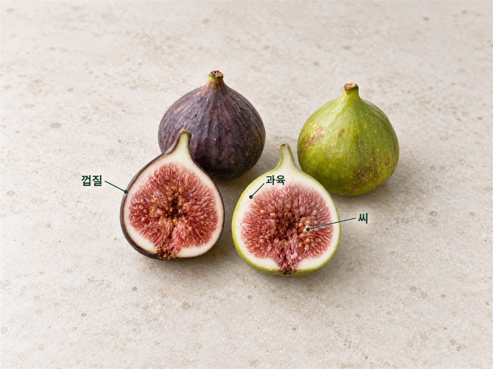 생무화과 껍질 과육 작은 씨 구조