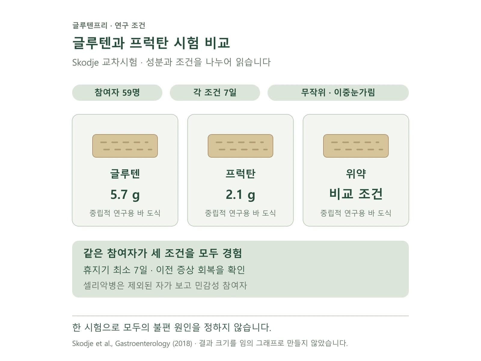 글루텐과 프럭탄 시험 비교 — 시험 성분·조건과 해석 한계