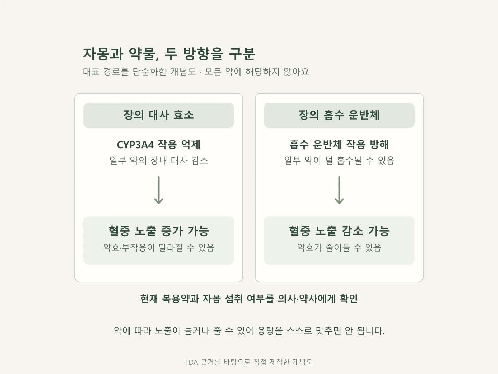 자몽과 약물의 대사 억제 및 흡수 감소 경로