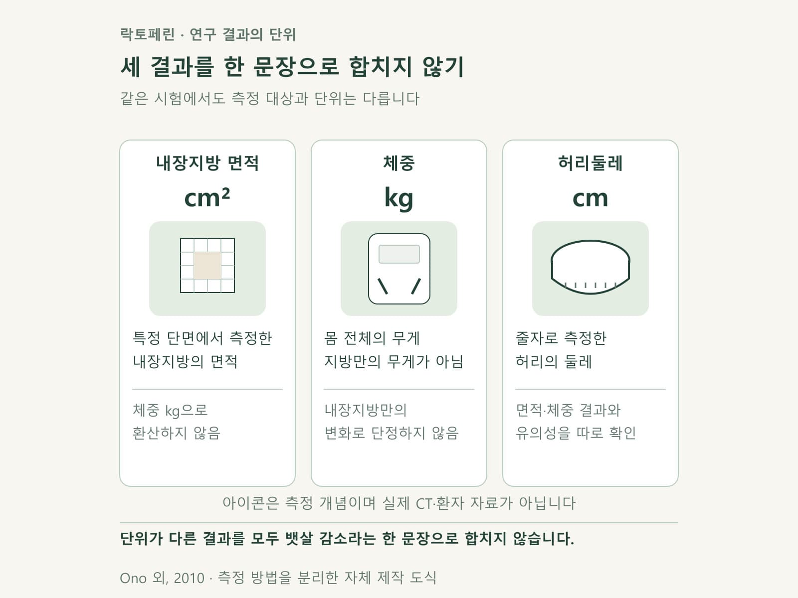 락토페린 연구의 내장지방 면적과 체중 및 허리둘레를 구분한 카드
