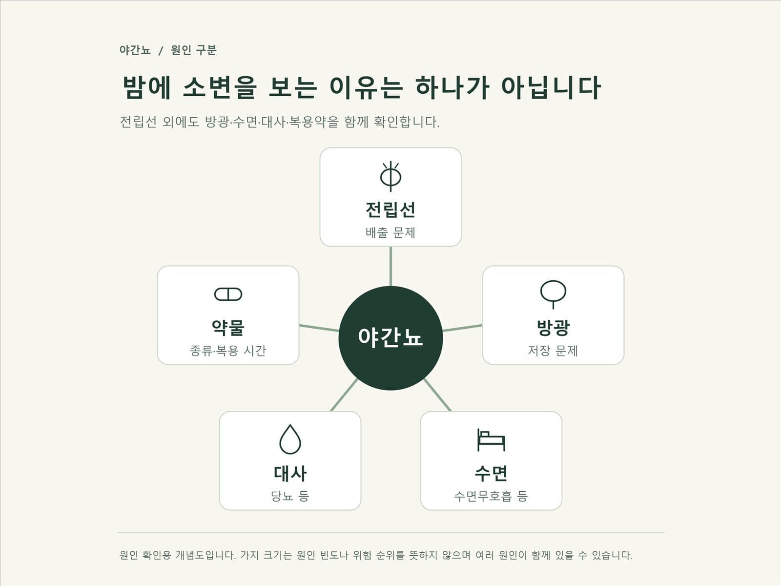 야간뇨 전립선 방광 수면무호흡 당뇨 부종 원인 지도