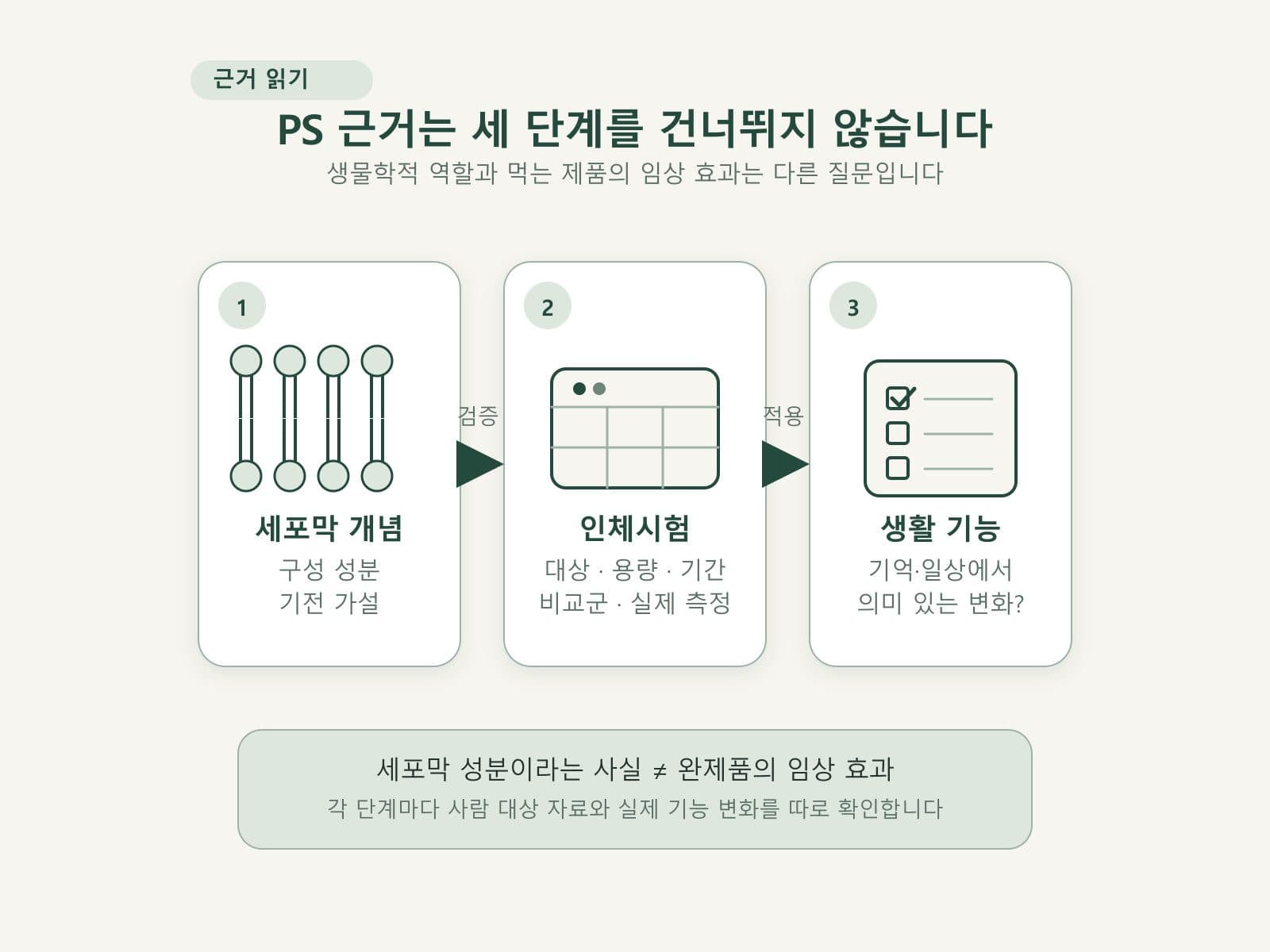 포스파티딜세린의 기전과 인체시험 및 생활 기능을 구분한 도식