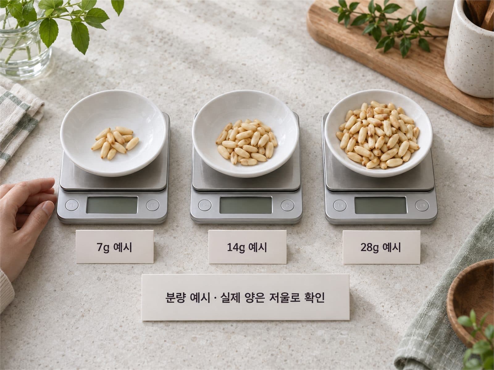 잣 7그램 14그램 28그램 실제 분량 비교
