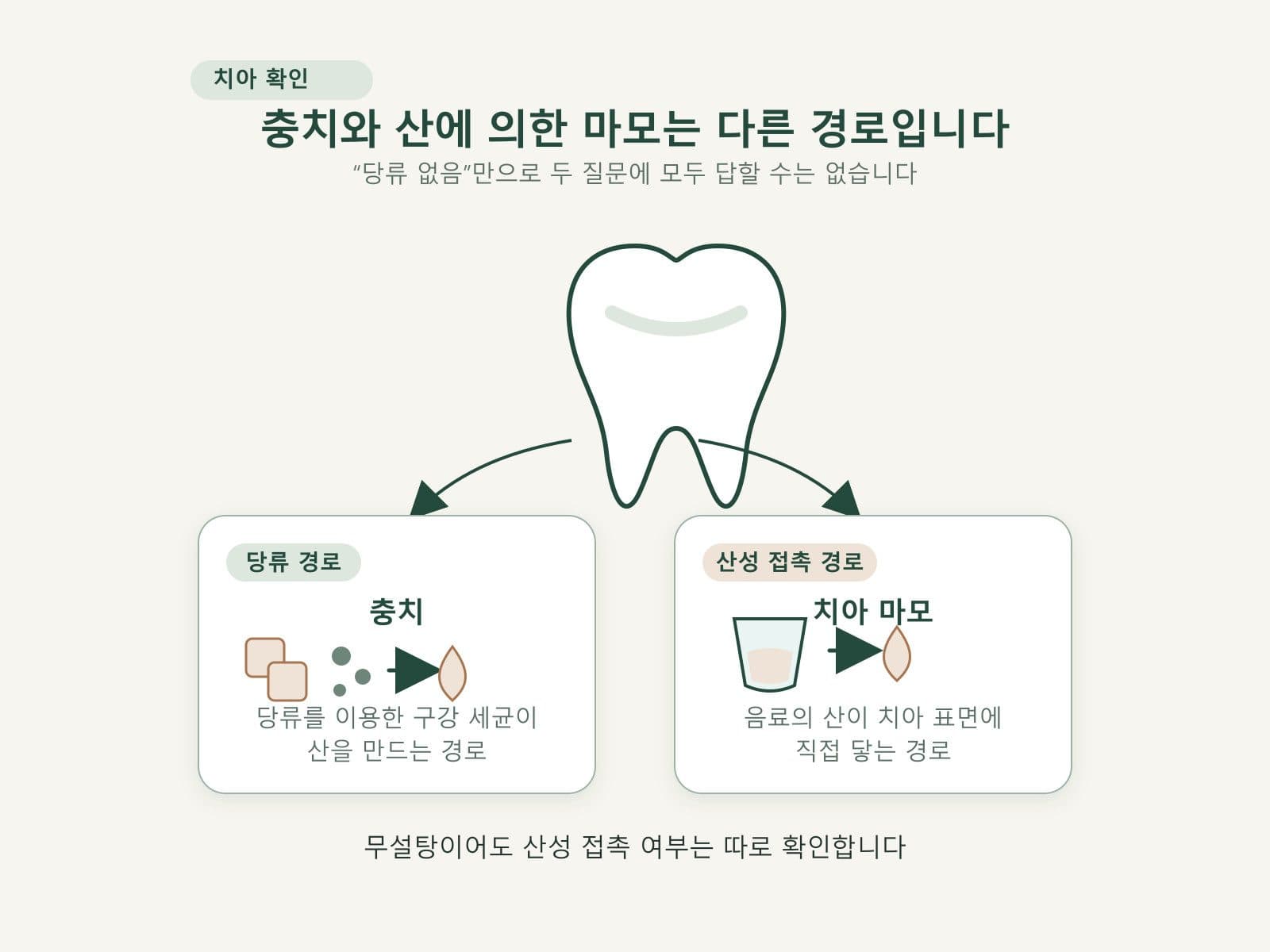 당류 관련 충치와 산성 음료의 치아 마모를 구분한 도표
