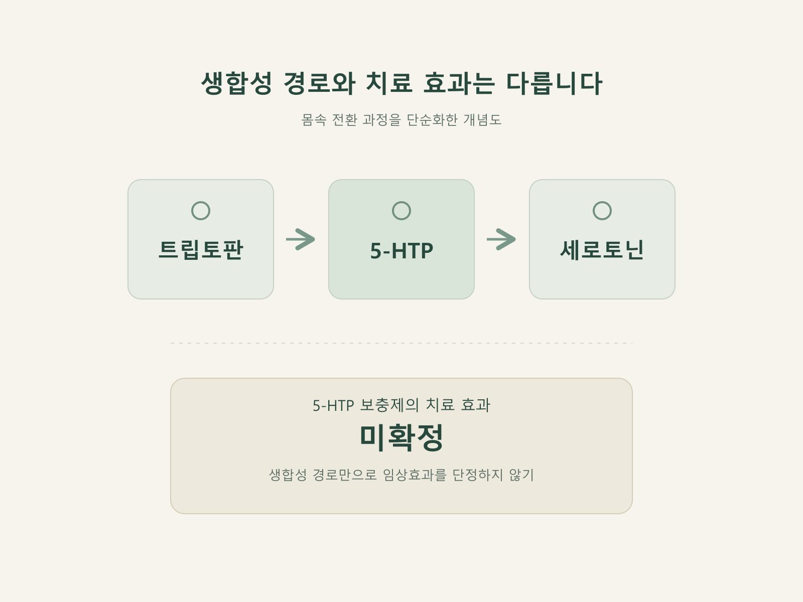 5HTP 세로토닌 전구체와 임상근거 차이