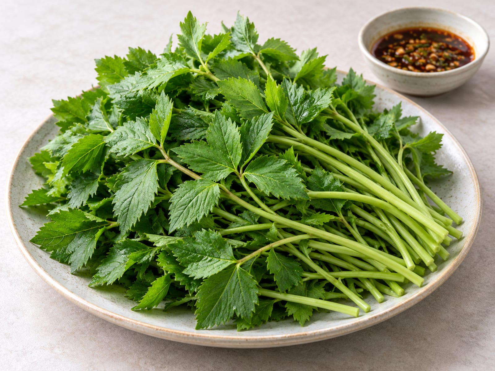 조리대의 참나물