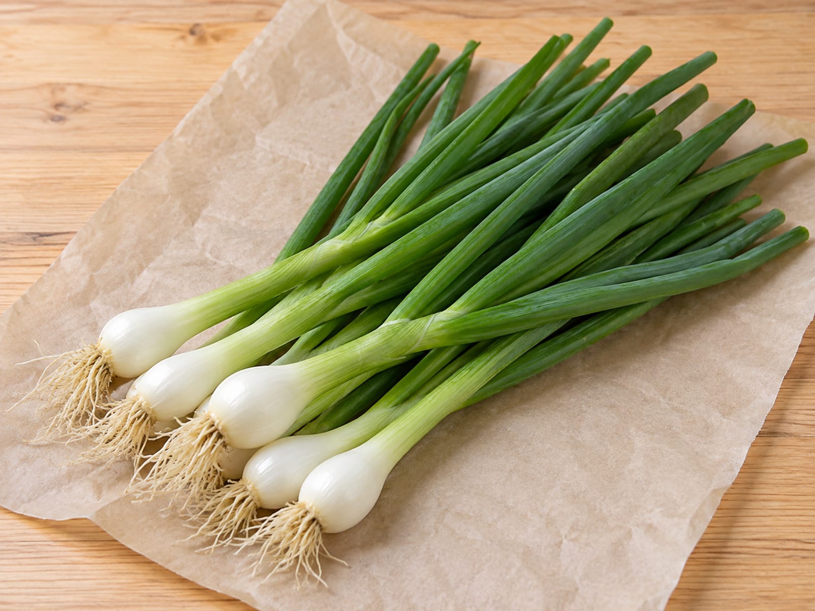 쪽파 밑동과 잎