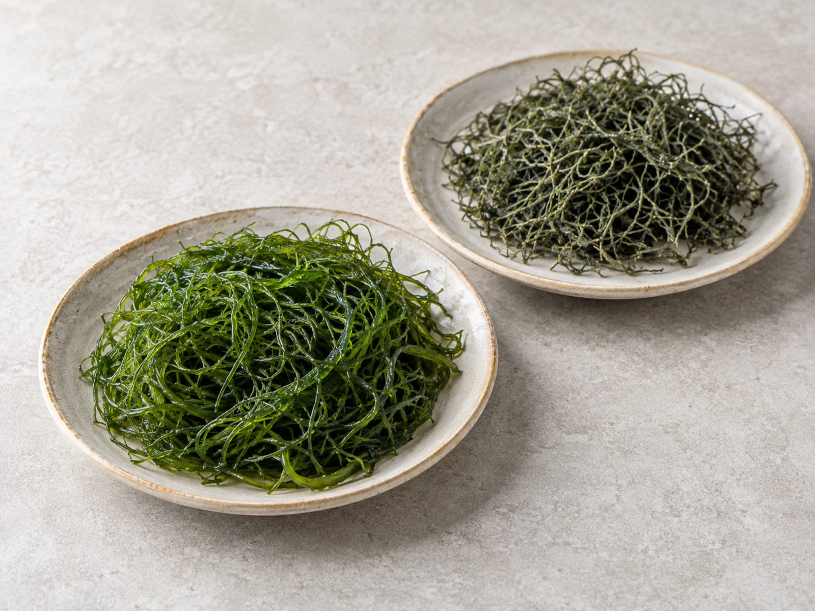 서로 다른 모양의 파래