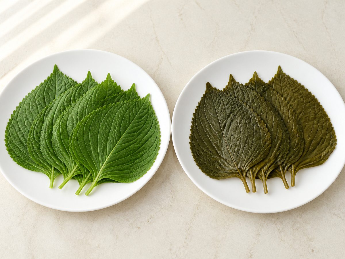 생 깻잎쌈과 깻잎장아찌의 양념과 나트륨 차이를 비교한 식탁