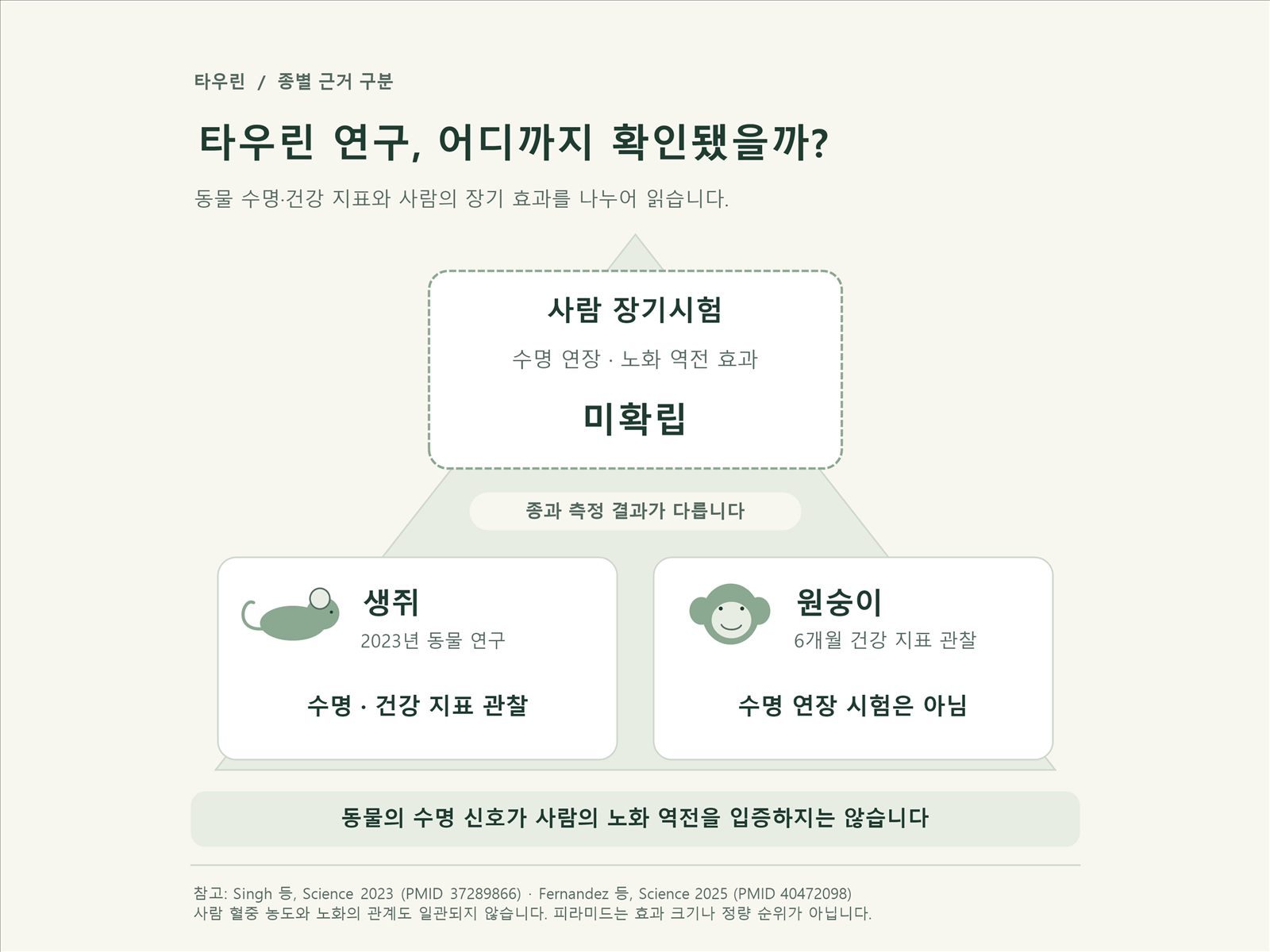 동물실험부터 인체 임상시험까지 근거 수준을 피라미드로 나타낸 이미지